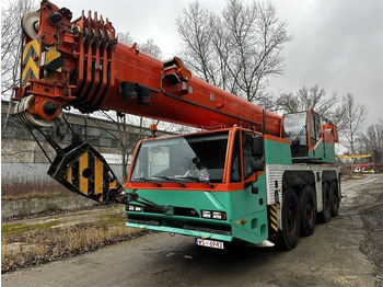 Alle terrein kraan Demag TEREX DEMAG AC100/4L: afbeelding 4