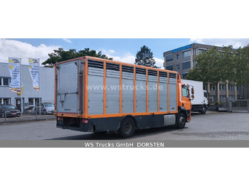 Paardenvrachtwagen DAF CF 400 Menke Einstock: afbeelding 5