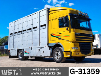 Paardenvrachtwagen DAF XF