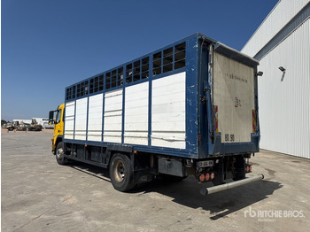 Veewagen vrachtwagen 2003 Volvo FM12 420 4x2 Camion Betaillere Livestock Truck: afbeelding 4