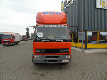 Chassis vrachtwagen DAF LF 55.160 + EURO 2 + MANUAL + 12T: afbeelding 5