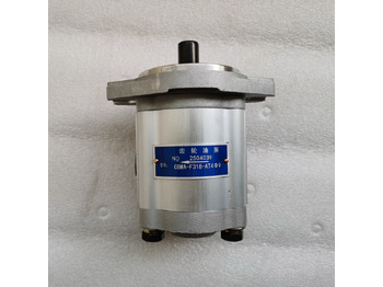 Hydraulische pomp