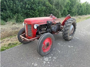 Tractor MASSEY FERGUSON