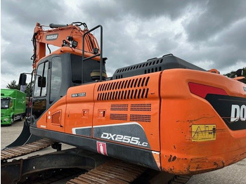 Rupsgraafmachine Doosan DX 255 LC-5/Schnellwechsel System/Rototilt R8: afbeelding 3