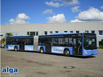 Gelede bus MAN Lion's City A23