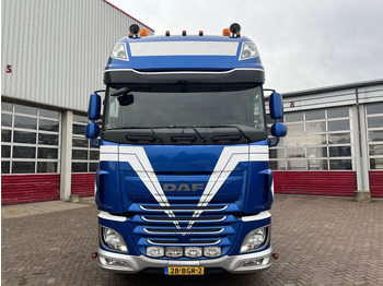 Trekker DAF XF 460 FTG EURO 6: afbeelding 2