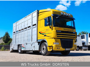 Leasing DAF XF410 Menke Doppelstock DAF XF410 Menke Doppelstock: afbeelding 2
