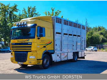 Leasing DAF XF410 Menke Doppelstock DAF XF410 Menke Doppelstock: afbeelding 1