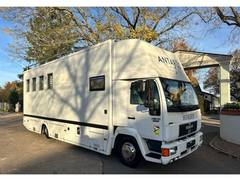 Paardenvrachtwagen MAN 10.224