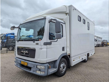 Paardenvrachtwagen MAN TGL 12.250