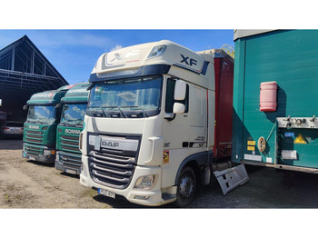 Trekker DAF XF 460