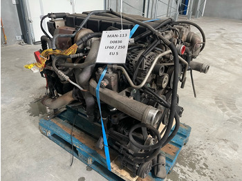 Motor voor Vrachtwagen MAN D0836 LF60 / 250 HP: afbeelding 3