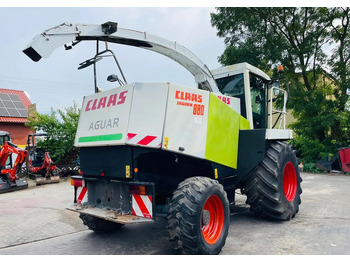 Hakselaar Claas Jaguar 880: afbeelding 4