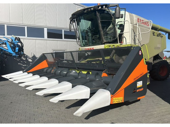 Zonnebloemdorser