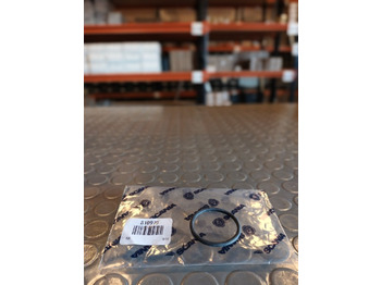 Zuigers/ Ringen/ Glijlagers SCANIA