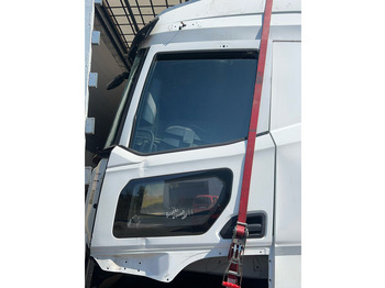 Deur en onderdelen DAF XG