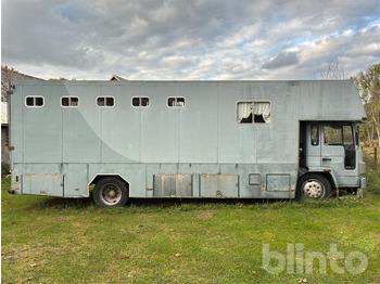Paardenvrachtwagen VOLVO FL614: afbeelding 2