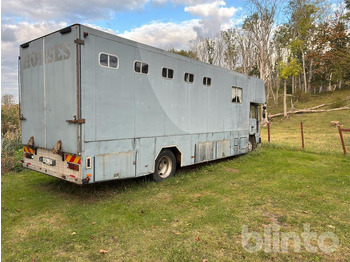 Paardenvrachtwagen VOLVO FL614: afbeelding 3