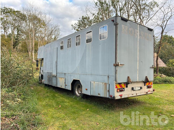 Paardenvrachtwagen VOLVO FL614: afbeelding 5