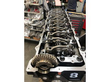 Motor MOTORE MAN D2066 LOH32: afbeelding 2