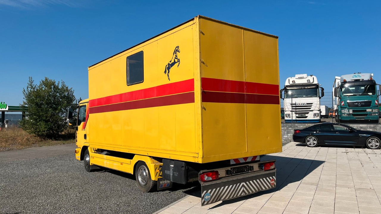 MAN TGL 10.180 Euro 4 Pferdetransporter Horse MAN TGL 10.180 Euro 4 Pferdetransporter Horse - Paardenvrachtwagen: afbeelding 5 MAN TGL 10.180 Euro 4 Pferdetransporter Horse MAN TGL 10.180 Euro 4 Pferdetransporter Horse - Paardenvrachtwagen: afbeelding 5