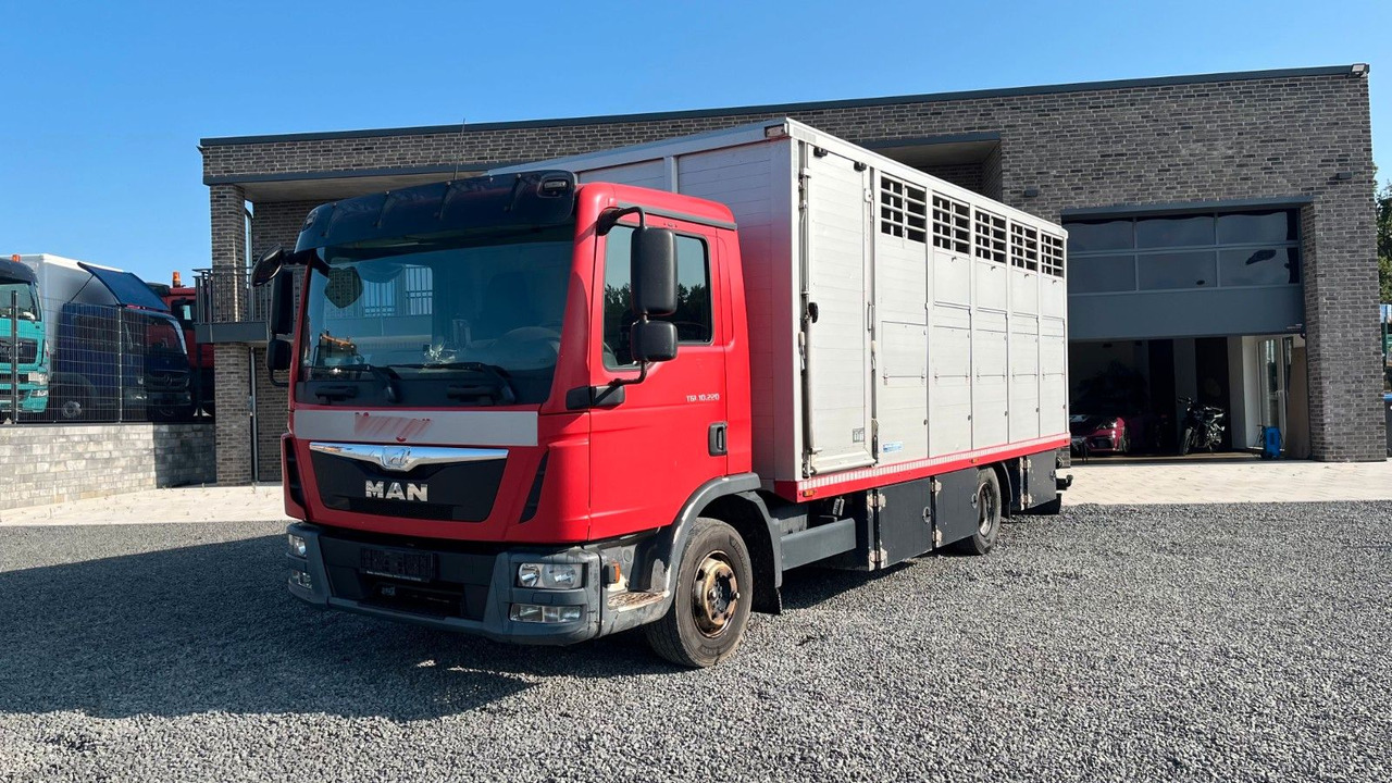 MAN TGL 10.220 Viehtransporter Rampe Trennwände - Paardenvrachtwagen: afbeelding 2 MAN TGL 10.220 Viehtransporter Rampe Trennwände - Paardenvrachtwagen: afbeelding 2