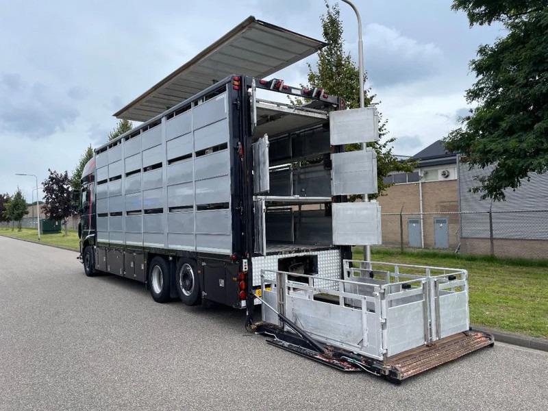 DAF XF 460 2017 berdex 3 lagen varkens - Veewagen vrachtwagen: afbeelding 4 DAF XF 460 2017 berdex 3 lagen varkens - Veewagen vrachtwagen: afbeelding 4