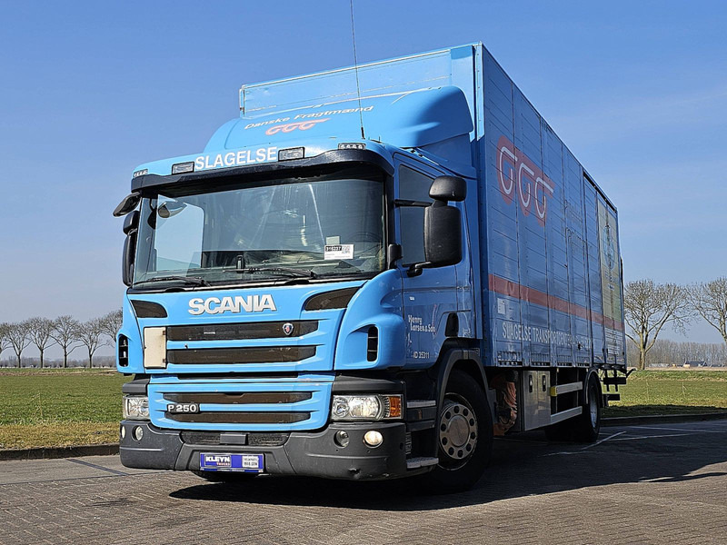 Scania P250 4X2MLB AIRCO WB 590 - Bakwagen: afbeelding 1 Scania P250 4X2MLB AIRCO WB 590 - Bakwagen: afbeelding 1