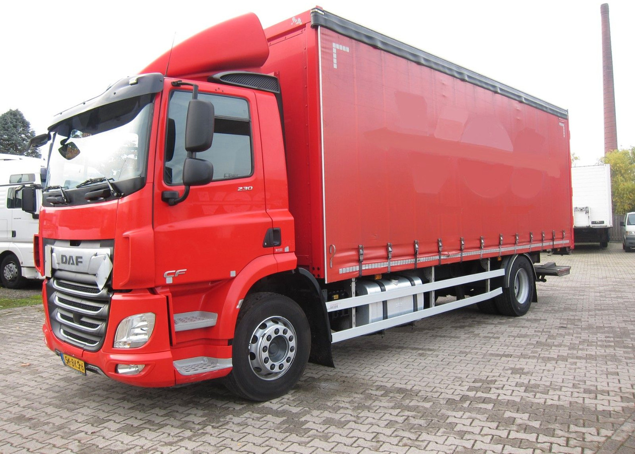 DAF CF 230 19T Schiebeplane LDW Portalturen - Schuifzeilen vrachtwagen: afbeelding 2 DAF CF 230 19T Schiebeplane LDW Portalturen - Schuifzeilen vrachtwagen: afbeelding 2
