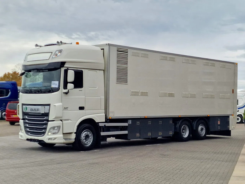 DAF XF 440 SuperSpaceCab 6x2*4 - 2 deck Closed Livestock - 40M2 - Filtersystem - Veewagen vrachtwagen: afbeelding 3 DAF XF 440 SuperSpaceCab 6x2*4 - 2 deck Closed Livestock - 40M2 - Filtersystem - Veewagen vrachtwagen: afbeelding 3