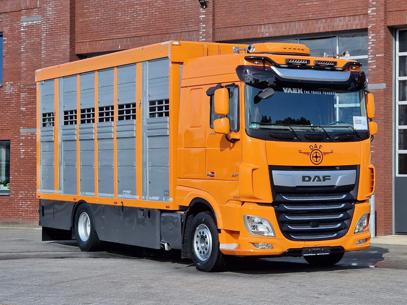 DAF XF 530 4x2 - Livestock Menke 2 deck water & ventilation - Veewagen vrachtwagen: afbeelding 3 DAF XF 530 4x2 - Livestock Menke 2 deck water & ventilation - Veewagen vrachtwagen: afbeelding 3