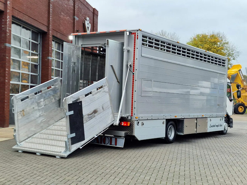Nieuw Veewagen vrachtwagen Renault Midlum D210 4x2 - NEW - Pezzaioli 1 deck - Ventilation - 17.9M2 - Ramp - Euro6d: afbeelding 10 Nieuw Veewagen vrachtwagen Renault Midlum D210 4x2 - NEW - Pezzaioli 1 deck - Ventilation - 17.9M2 - Ramp - Euro6d: afbeelding 10
