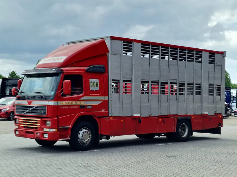 Volvo FM 250 4x- Livestock 2 deck - Lifting floors - Loadlift - Manual gearbox - Veewagen vrachtwagen: afbeelding 3 Volvo FM 250 4x- Livestock 2 deck - Lifting floors - Loadlift - Manual gearbox - Veewagen vrachtwagen: afbeelding 3