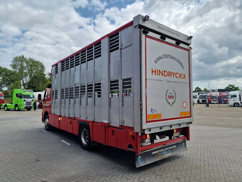 Volvo FM 250 4x- Livestock 2 deck - Lifting floors - Loadlift - Manual gearbox - Veewagen vrachtwagen: afbeelding 5 Volvo FM 250 4x- Livestock 2 deck - Lifting floors - Loadlift - Manual gearbox - Veewagen vrachtwagen: afbeelding 5