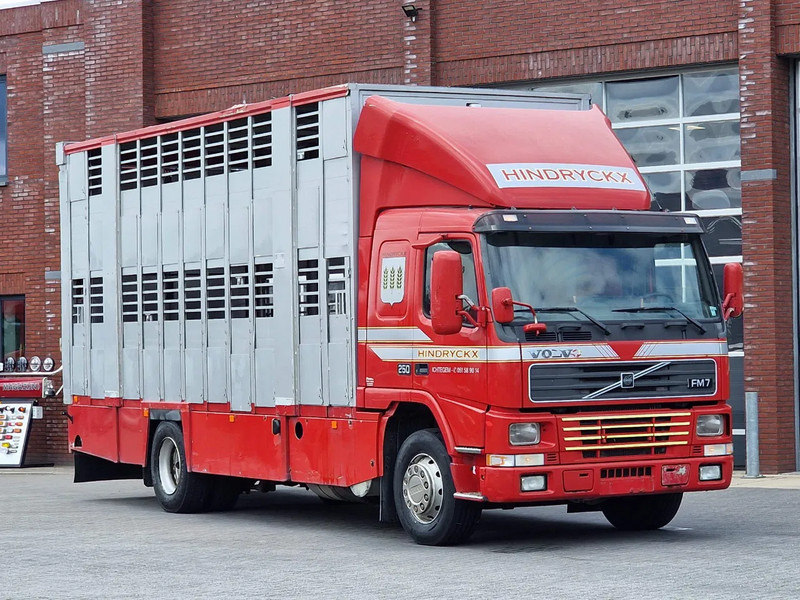 Volvo FM 250 4x- Livestock 2 deck - Lifting floors - Loadlift - Manual gearbox - Veewagen vrachtwagen: afbeelding 1 Volvo FM 250 4x- Livestock 2 deck - Lifting floors - Loadlift - Manual gearbox - Veewagen vrachtwagen: afbeelding 1