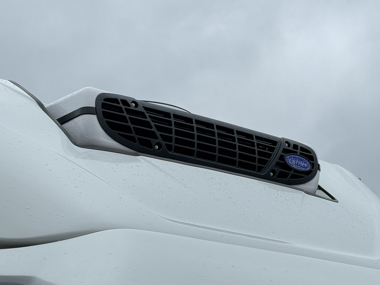 Koelwagen Iveco Daily 35S16 V: afbeelding 7