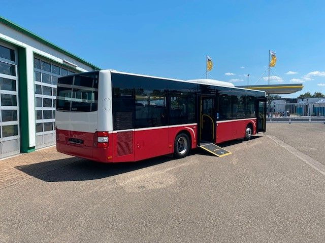MAN A 21 Lions City KLIMA EURO 6 ZF EcoLife - Stadsbus: afbeelding 4 MAN A 21 Lions City KLIMA EURO 6 ZF EcoLife - Stadsbus: afbeelding 4