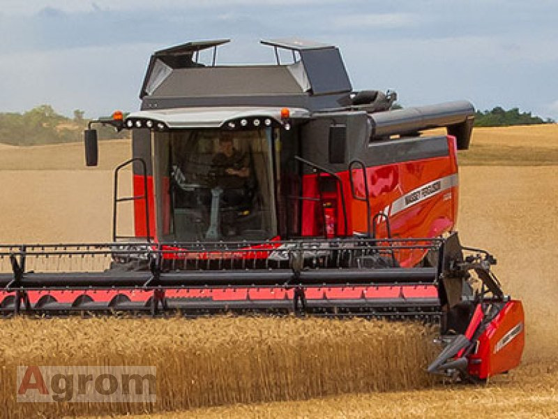 Massey Ferguson 7360 Beta - Maaidorser: afbeelding 1 Massey Ferguson 7360 Beta - Maaidorser: afbeelding 1