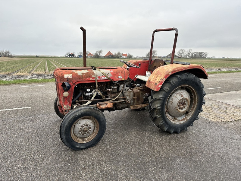 Massey Ferguson 35 - Tractor: afbeelding 1 Massey Ferguson 35 - Tractor: afbeelding 1