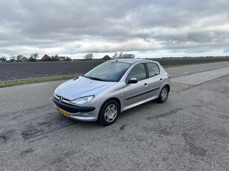 Peugeot 206 - Personenwagen: afbeelding 1 Peugeot 206 - Personenwagen: afbeelding 1