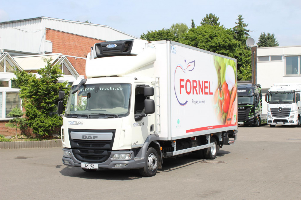 Daf LF 260 E6 Carrier Supra 550 Strom Tür LBW - Koelwagen vrachtwagen: afbeelding 1 Daf LF 260 E6 Carrier Supra 550 Strom Tür LBW - Koelwagen vrachtwagen: afbeelding 1
