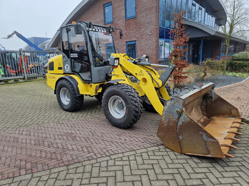WACKER NEUSON WL 44 - Wiellader: afbeelding 5 WACKER NEUSON WL 44 - Wiellader: afbeelding 5