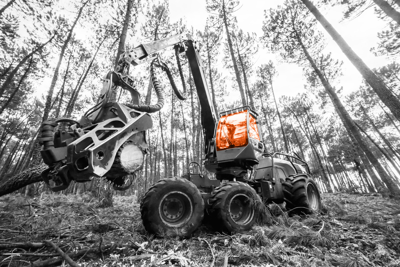 - Voorruit voor Harvester: afbeelding 4 - Voorruit voor Harvester: afbeelding 4