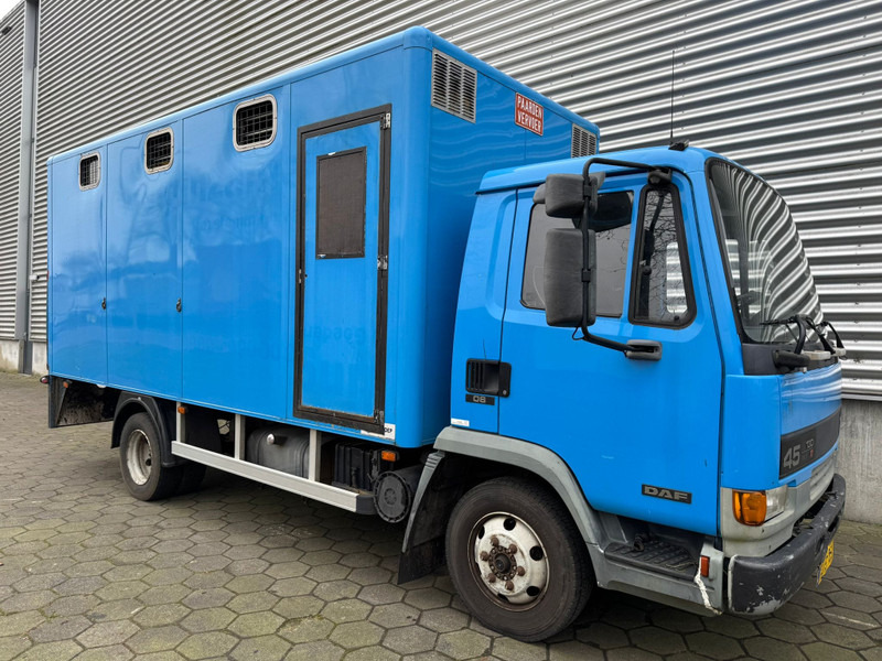 DAF LF45.130 / Horse Truck / 6 Cilinder / Manual Gearbox / Euro 2 / NL Trucks - Veewagen vrachtwagen: afbeelding 2 DAF LF45.130 / Horse Truck / 6 Cilinder / Manual Gearbox / Euro 2 / NL Trucks - Veewagen vrachtwagen: afbeelding 2
