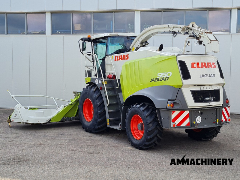 Claas Jaguar 950 4WD - Hakselaar: afbeelding 4 Claas Jaguar 950 4WD - Hakselaar: afbeelding 4