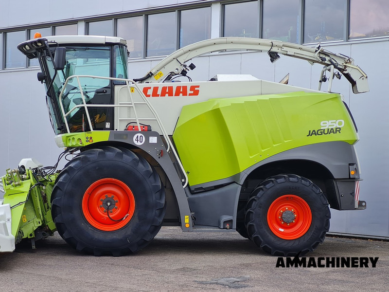 Claas Jaguar 950 4WD - Hakselaar: afbeelding 3 Claas Jaguar 950 4WD - Hakselaar: afbeelding 3