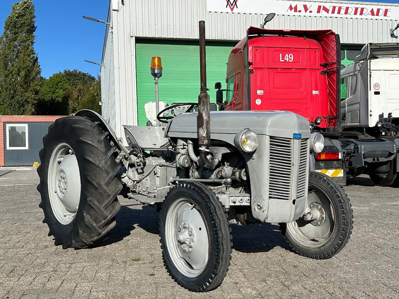 Diversen FERGUSON tractor - Tractor: afbeelding 2 Diversen FERGUSON tractor - Tractor: afbeelding 2