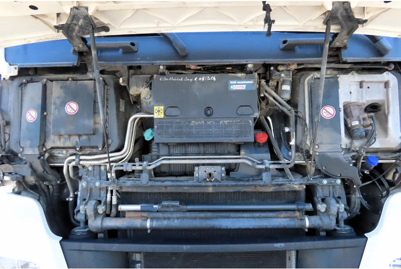 Trekker MAN TGX 18.480 RETARDER, 2X FUEL TANK, FRIGO: afbeelding 9