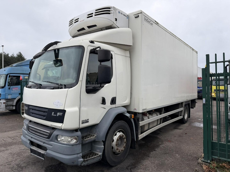 DAF LF 55.300 - 19T FRIGO THERMOKING TS-300e - TAILLIFT - BOX 6m45 x 2m49 x 2m49 - EURO 5 - A/C - BE TRUCK - Koelwagen vrachtwagen: afbeelding 3 DAF LF 55.300 - 19T FRIGO THERMOKING TS-300e - TAILLIFT - BOX 6m45 x 2m49 x 2m49 - EURO 5 - A/C - BE TRUCK - Koelwagen vrachtwagen: afbeelding 3