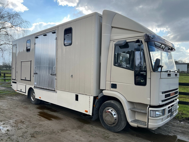 Iveco 120E18 - 3 HORSES - MANUAL - STEEL SUSPENSION - Paardenvrachtwagen: afbeelding 2 Iveco 120E18 - 3 HORSES - MANUAL - STEEL SUSPENSION - Paardenvrachtwagen: afbeelding 2